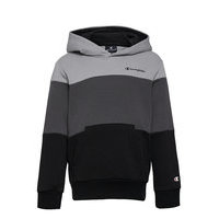 Hooded Sweatshirt Huppari Harmaa Champion