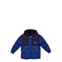 Puffer Jacket Toppatakki Sininen Timberland