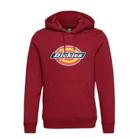 Icon Logo Hoodie Huppari Punainen Dickies