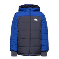 Padded Winter Jacket Toppatakki Sininen Adidas Performance, adidas Performance