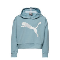 Modern Sports Hoody Tr G Huppari Sininen PUMA