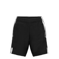 Sq21 Dt Sho Y Shortsit Musta Adidas Performance, adidas Performance