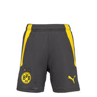 Bvb Training Shorts Jr W/ Pockets W/ Zip Shortsit Musta PUMA