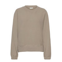 Fai Svetari Collegepaita Beige By Malene Birger