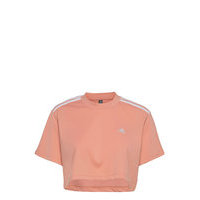 Cropped Tee W Crop Tops Vaaleanpunainen Adidas Performance, adidas Performance