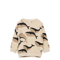 Sweatshirt Whale X Long Fit Svetari Collegepaita Beige Lindex