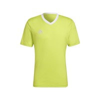 Lyhythihainen t-paita adidas Entrada 22 EU L