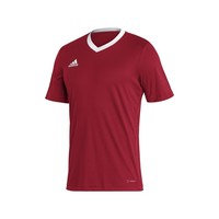 Lyhythihainen t-paita adidas Entrada 22 EU XS