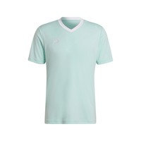 Lyhythihainen t-paita adidas Entrada 22 EU M