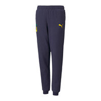 Jogging housut / Ulkoiluvaattee Puma Neymar Jr Hero Sweatpants 7 / 8 vuotta