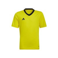 Lyhythihainen t-paita adidas Entrada 22 EU S