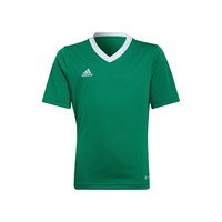 Lyhythihainen t-paita adidas Entrada 22 EU L