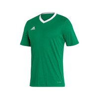 Lyhythihainen t-paita adidas Entrada 22 EU M