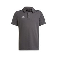 Lyhythihainen t-paita adidas Entrada 22 EU XS