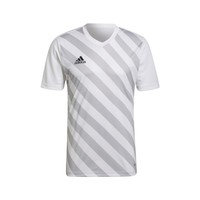 Lyhythihainen t-paita adidas Entrada 22 EU S