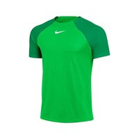 Lyhythihainen t-paita Nike Drifit Adacemy Pro EU S