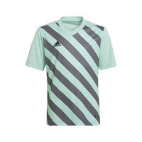 Lyhythihainen t-paita adidas Entrada 22 Graphic Jersey EU L