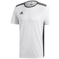 Lyhythihainen t-paita adidas Entrada 18 Junior EU L