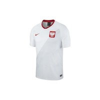 Lyhythihainen t-paita Nike WC 2018 Home Breathe Top EU XXL