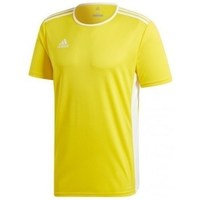 Lyhythihainen t-paita adidas Entrada 18 Jsy EU S