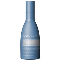 Repair Conditioner 250 ml, Björn Axén