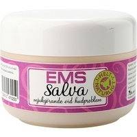 EMS salva 250 ml, Ion Silver