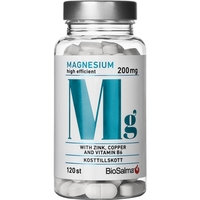 BioSalma Magnesium 200mg + Zink, Koppar, B6 120 tablettia