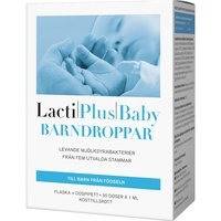 Lactiplus Baby Barndroppar 30 annus, LactiPlus