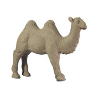 Day Camel koriste, DAY Home