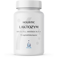 Laktozym 90 kapselia, Holistic