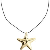 13242-2001 FORCE Star Necklace, Pilgrim