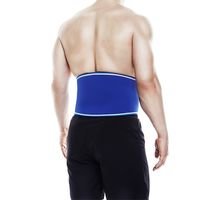 Blue Line Back Support, L, Rehband