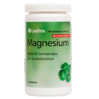 Magnesium, 250 mg, 100 kpl, Ledins