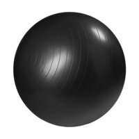 Gym Ball 55 cm, Master Fitness