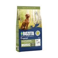 Bozita