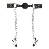 Deluxe Ball Gag & Nipple Clamps, Fetish Fantasy Series