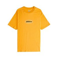 Billabong 97 t-shirt keltainen, billabong