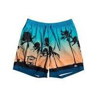 Quiksilver paradise volley 15 boardshorts sininen, quiksilver