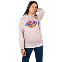 Dickies san antonio hoodie violetti, dickies