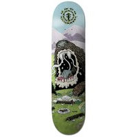 Element nature wins bears 8.25 skateboard deck kuviotu, element