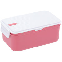 Funktion - Lunchbox with cooling element - Rose