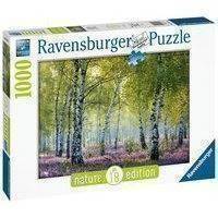 Ravensburger - Puzzle 1000 - Birch Forest (10216753)