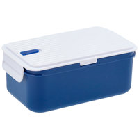 Funktion - Lunchbox with cooling element - Blue