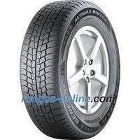 General Altimax Winter 3 ( 195/65 R15 91T )