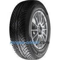 Cooper Discoverer Winter ( 275/40 R20 106V XL )