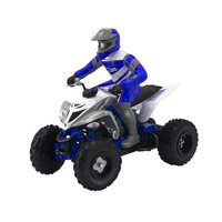 Yamaha Raptor 700R RC (8405)