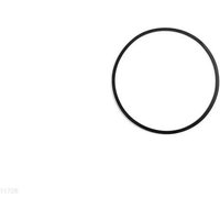 O-ring (Intex uima-altaat 11728)