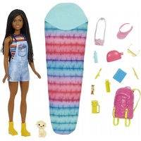 Barbie Brooklyn Camping Doll with Puppy (Barbie)