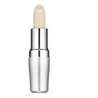 The Skincare Protective Lip Conditioner SPF10, 4g, Shiseido