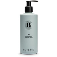 AG Silver Shampoo 300ml, Björk